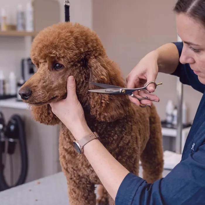 Carver Wake — Professionelle Grooming Services
